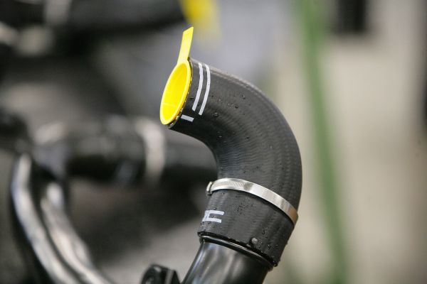Particolare dell′estremità
